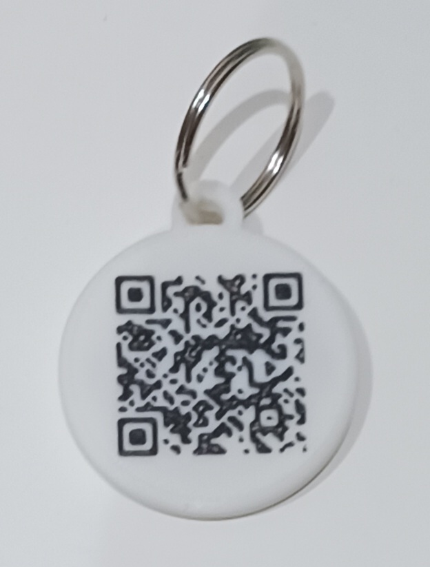 Cat with a collar tag