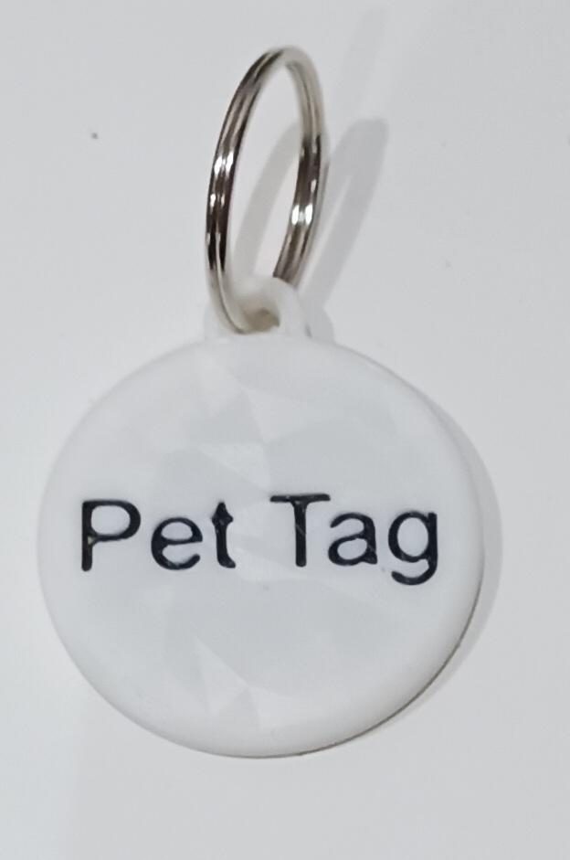 Dog with a collar tag